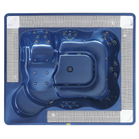 Спа бассейн Jacuzzi Virginia Professional